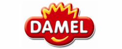 logo damel