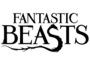 ANIMALES FANTASTICOS Y DONDE ENCONTRARLOS